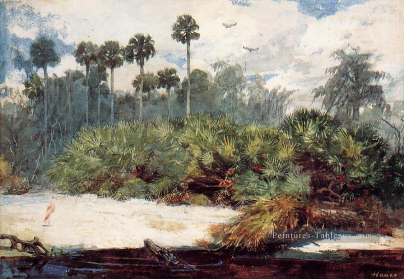 Dans une Jungle Florida réalisme peintre Winslow Homer Peintures à l'huile